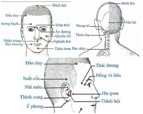 20 Huyệt ở đầu Mặt Cổ