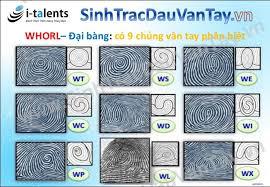 Sinh trắc học vân tay là gì?