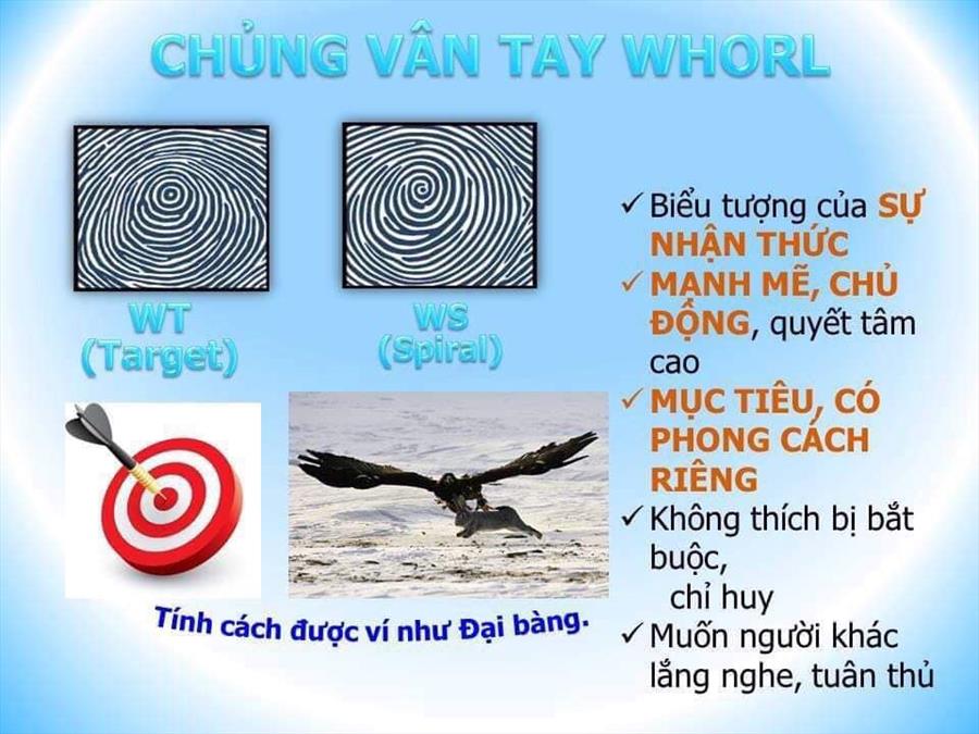 SINH TRẮC VÂN TAY Ở TRẺ NHỎ CÓ MỤC ĐÍCH VÀ TÁC DỤNG GÌ?